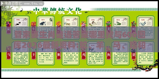 管家婆生肖谜语答案哪里找与600图库2026最新资料:蛇、羊、马、鸡和留心误导的假信息,系统分析、解释与落实